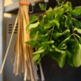 キッチンガーデンで自家製ミントティー レシピ 作り方 By Mayachka 楽天レシピ キッチンガーデンで自家製ミントティー レシピ 作り方 By Mayachka 楽天レシピ